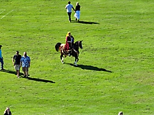 Polo 2023 -63