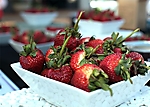 2010-taste-35