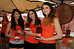 The Great American BBQ & Beer Festival 2014