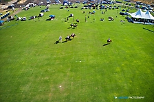 13.Polo_16