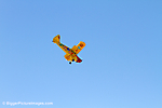 IMG_6167 lr LR