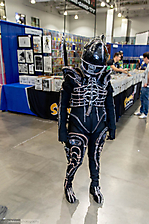 IMG_4516