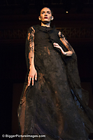 IMG_6532 LR LR