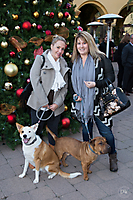 Unleashed_Holiday_Tree_Lighting_(12_of_74)