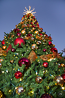 Unleashed_Holiday_Tree_Lighting_(29_of_74)