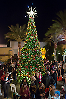 Unleashed_Holiday_Tree_Lighting_(59_of_74)