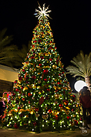 Unleashed_Holiday_Tree_Lighting_(62_of_74)