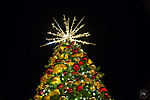 Unleashed_Holiday_Tree_Lighting_(69_of_74)