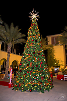 Unleashed_Holiday_Tree_Lighting_(74_of_74)