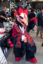 IMG_5352