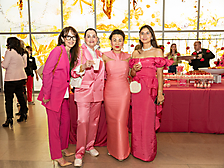VIP Opening of Barbie®: A Cultural Icon and The Power of Pink at Phoenix Art Museum