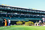 Phoenix Open Day 1 - WEB - 15