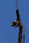 IMG_3840