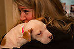 puppy on shoulder