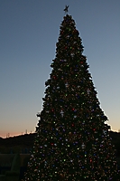 Winter Wonderland at JW Marriot Starr Pass