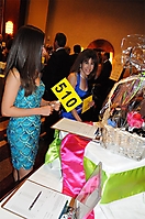 make-a-wish-ball-29