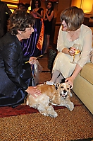 make-a-wish-ball-53
