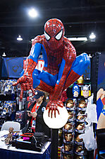 IMG_8282
