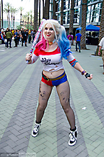 IMG_0977