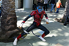 IMG_1387
