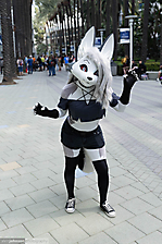 AK1A1875_1775090079_69cdb99f1e10c