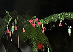 img_2389-01