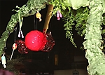 img_2562-01