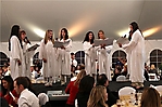 img_0564-01