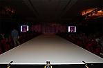 zimg_0242-8