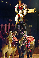 Zoppe Family Circus 2012