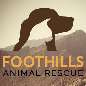 Nonprofit of the Year Contest - Foothills Animal Rescue Nonprofit of the Year Contest - Foothills Animal Rescue