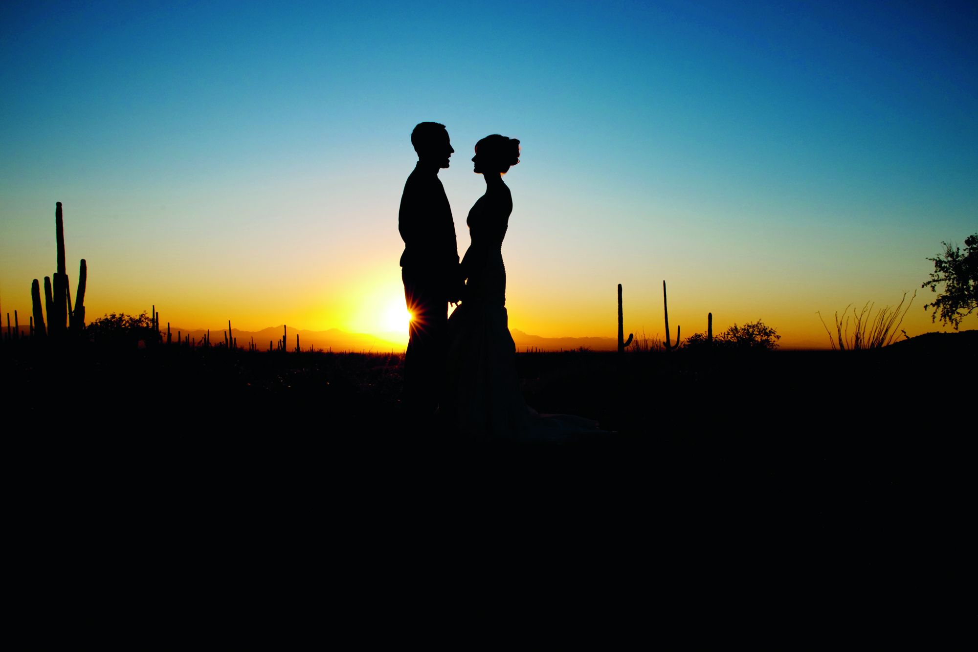 The Ritz-Carlton, Dove Mountain, Tucson