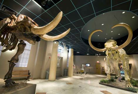 AZ museum of nat hist