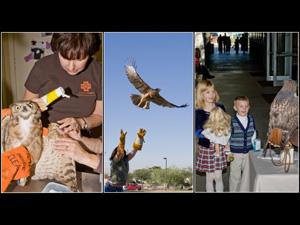 Liberty Wildlife Rehabilitation Foundation