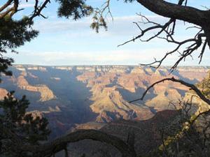 Sierra Club - Grand Canyon Chapter
