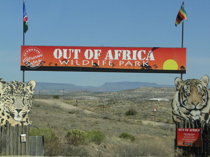 out of_africa_3