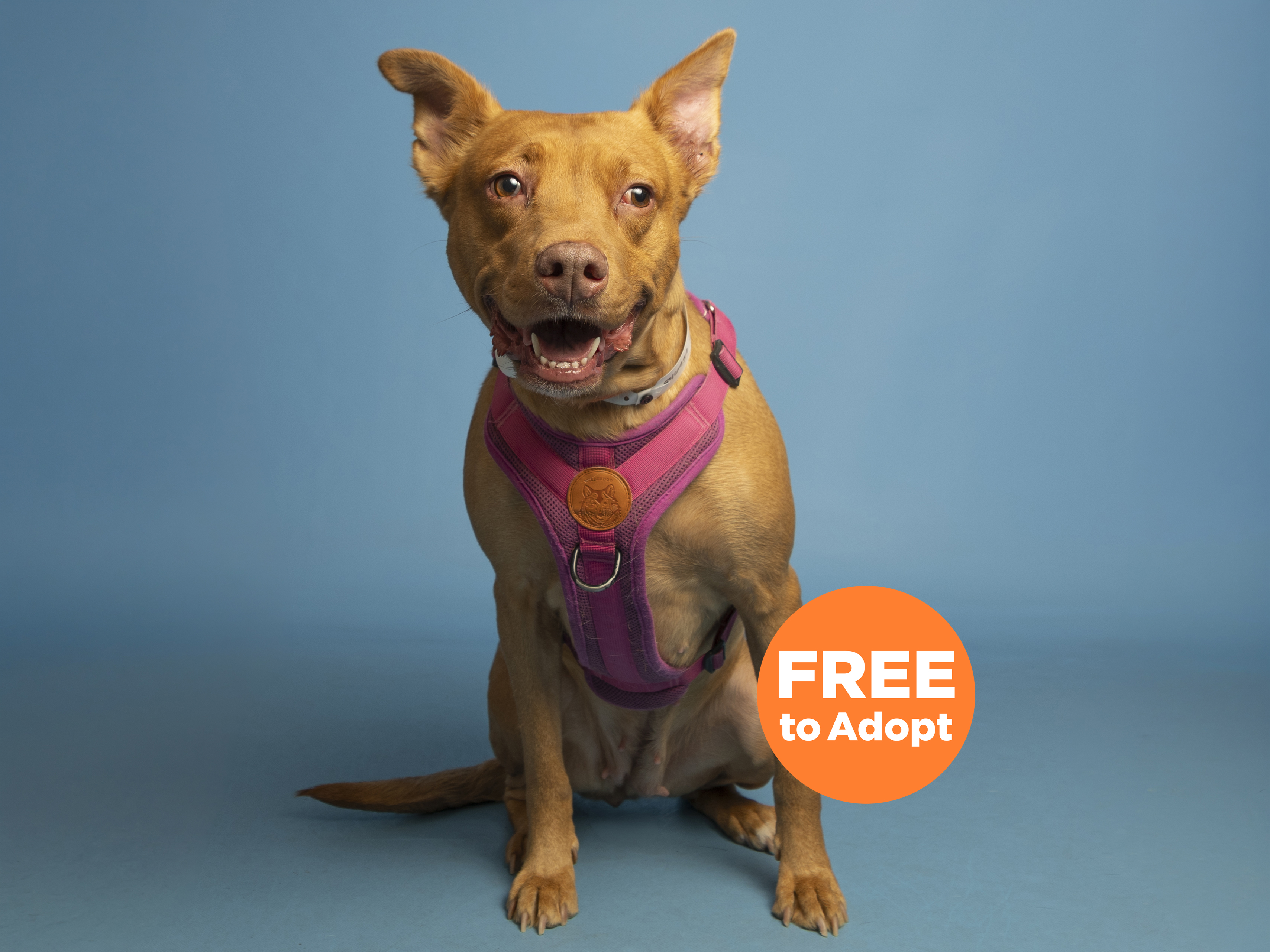 Hazel is Holding Out Hope for Her Second Chance