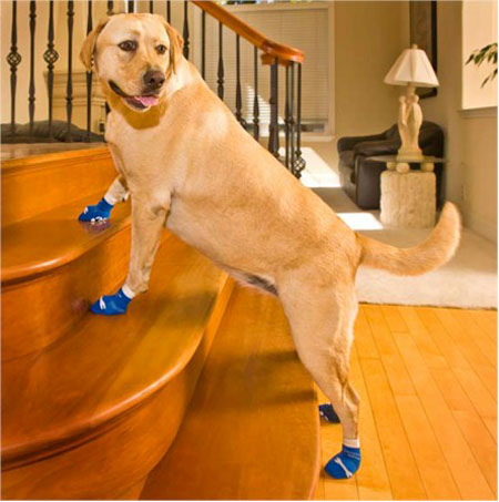powerpaws