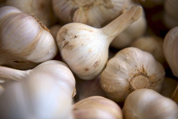 10 things garlic.jpg