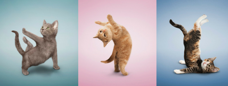 10 things kitten yoga class kids day.png