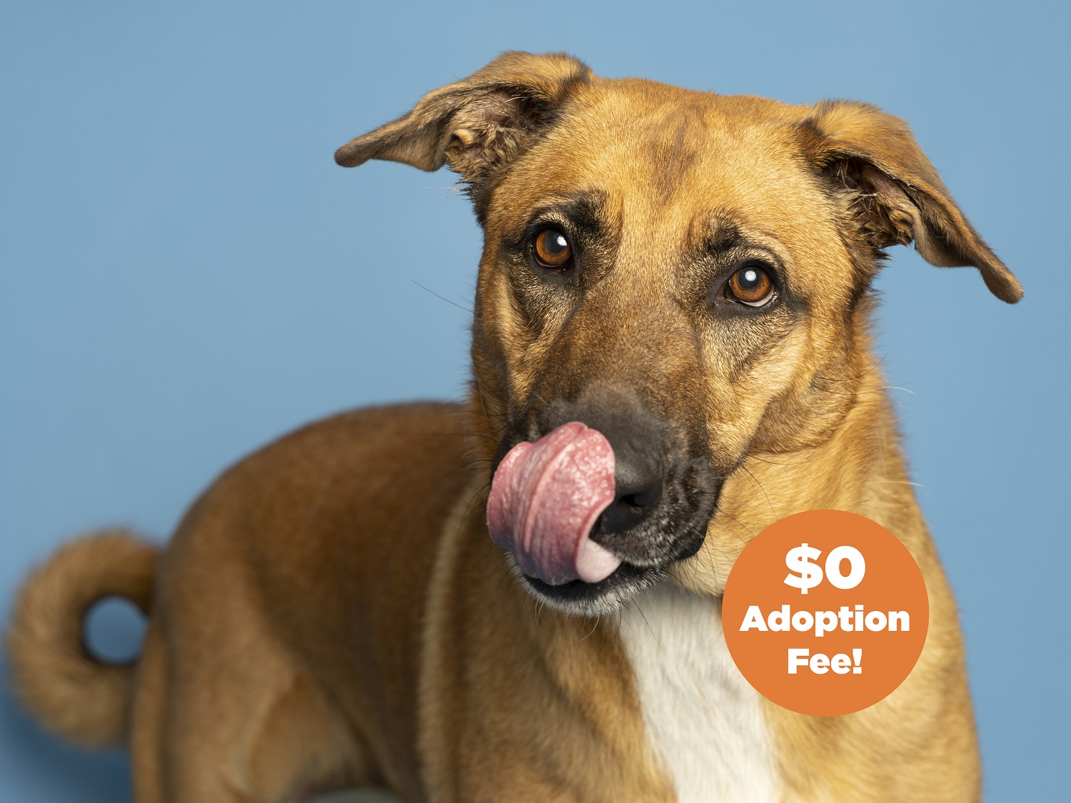 Kiki Can't Wait to Meet Her Forever Family!