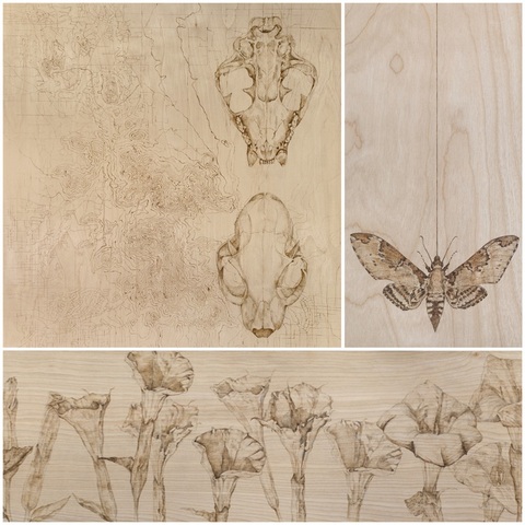 ABowersArt1