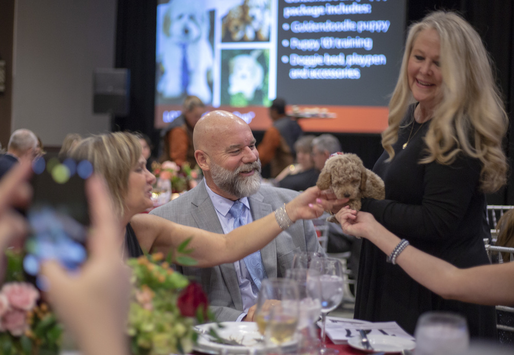 Admiring adorable goldendoodle up for auction.jpg