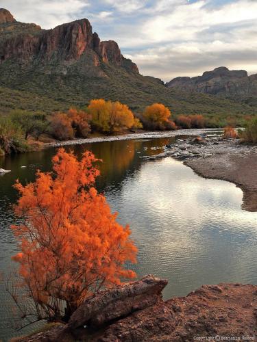 Autumn-at-the-Salt-River