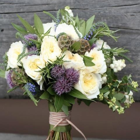 Camelback-Flowershop.jpg