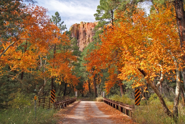 Cave Creek Canyon_Steve Wolfe 2.JPG