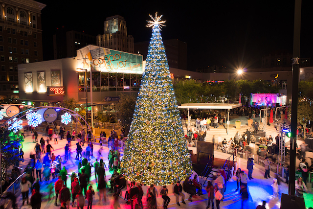 CitySkate_Tree-at-Night-1-_e22ca12a-5056-b3a8-4927ec6eed04572a.jpg