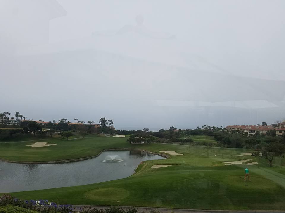 club 19