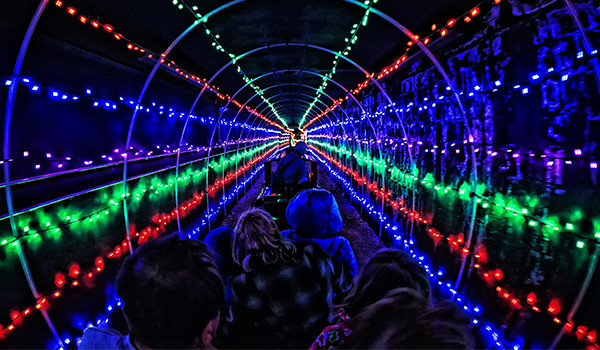Holiday-Lights-1_copy.jpg