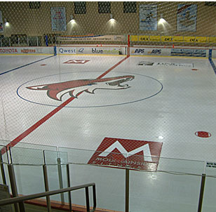 Ice-Den